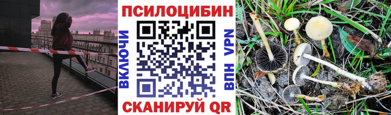 блэк спрут вход  Якутск  Галлюциногенные грибы Psilocybine cubensis 