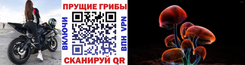 Псилоцибиновые грибы MAGIC MUSHROOMS Якутск