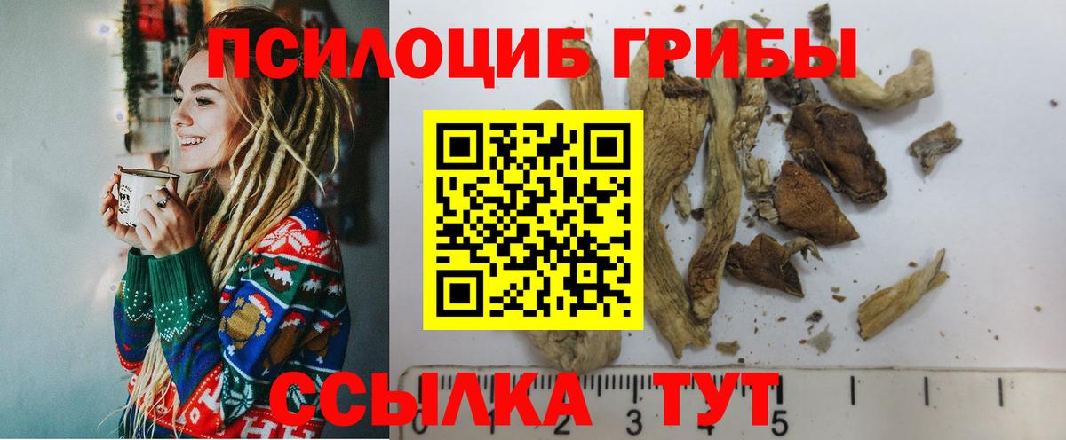 Псилоцибиновые грибы мицелий Якутск