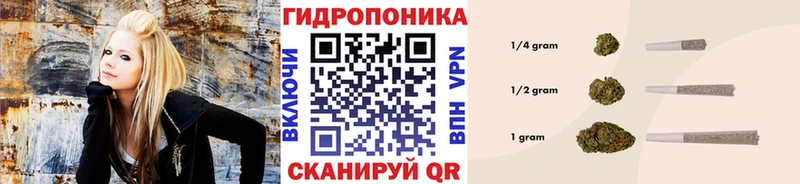 ссылка на мегу tor  как найти   Якутск  Шишки марихуана план 